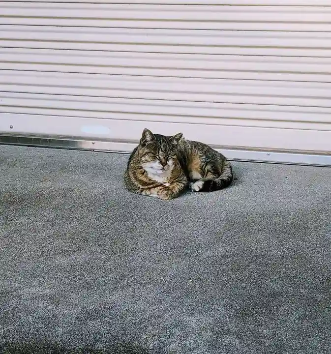 白金氷川神社の動物