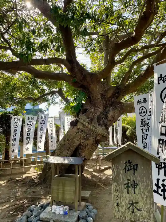 龍口明神社(神奈川県)