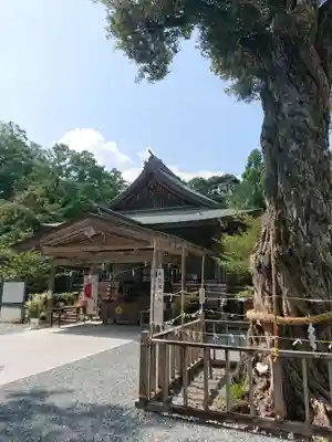 井伊谷宮の本殿・本堂