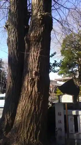 葛西神社の自然