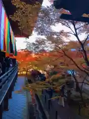 禅林寺（永観堂）(京都府)