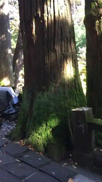 榛名神社の自然