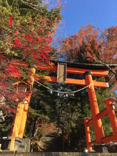 新倉富士浅間神社の鳥居