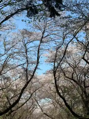 東蕗田天満社(茨城県)