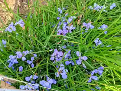 五條天神社(東京都)
