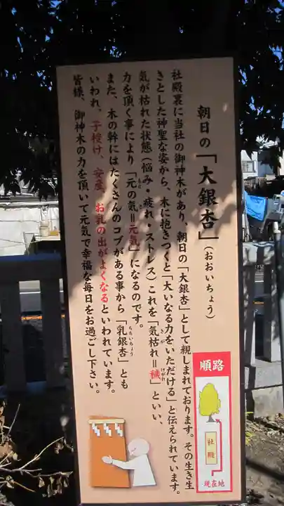 朝日氷川神社(埼玉県)