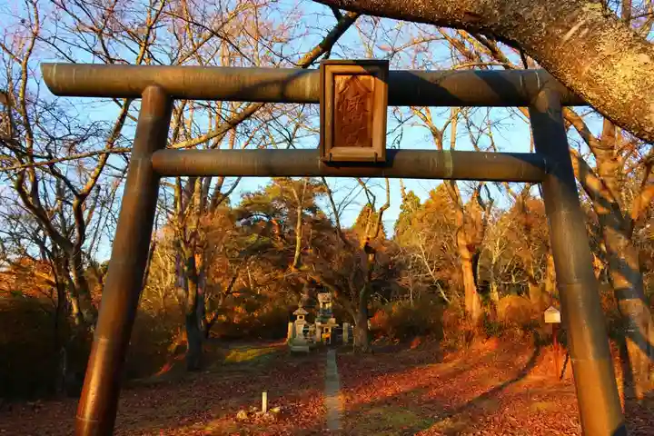 城山八幡神社の鳥居