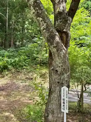 土津神社｜こどもと出世の神さま(福島県)