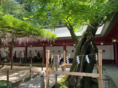 笠間稲荷神社(茨城県)