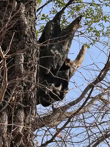 飛木稲荷神社の自然