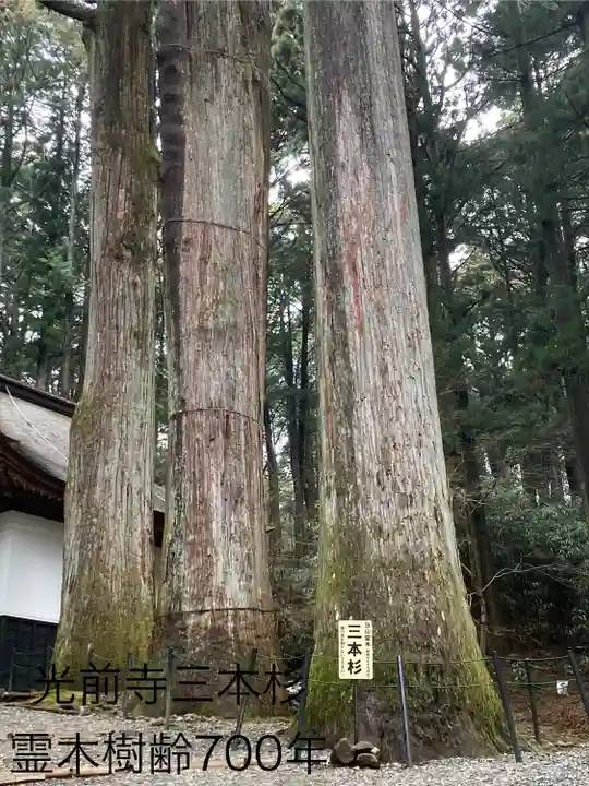 宝積山光前寺の自然