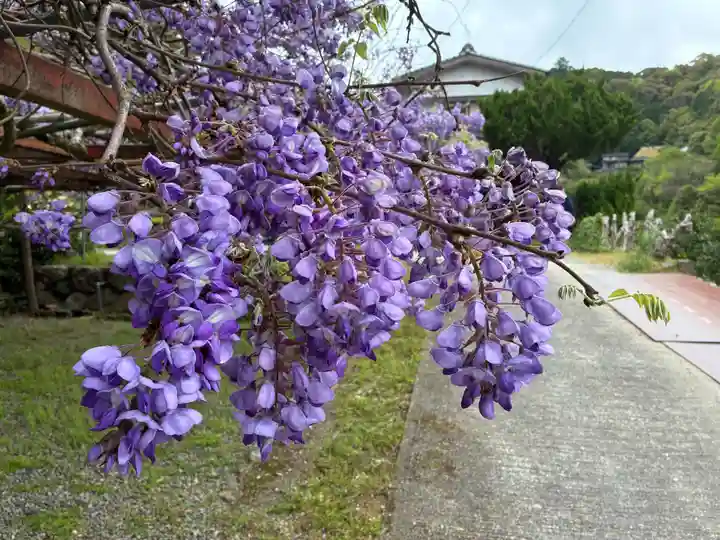 神光寺(徳島県)