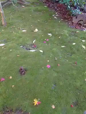 旦飯野神社(新潟県)