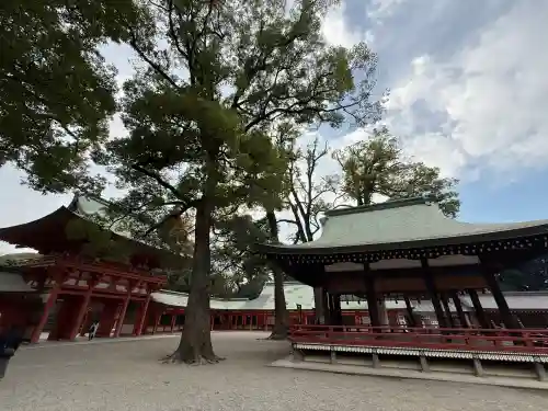 武蔵一宮氷川神社(埼玉県)