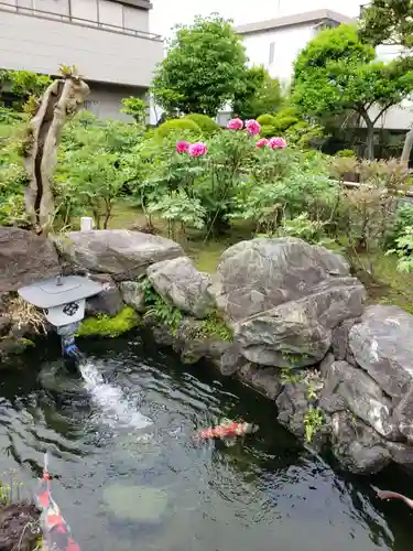 禅定院の庭園