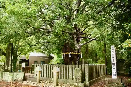 熊野速玉大社のその他建物