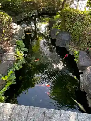 浅草寺(東京都)