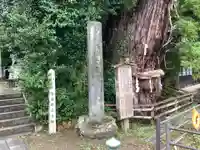 大國魂神社の自然
