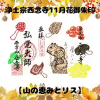 三重県伊賀市浄土宗西念寺の11月御朱印。1部三百円無くなり次第終了。