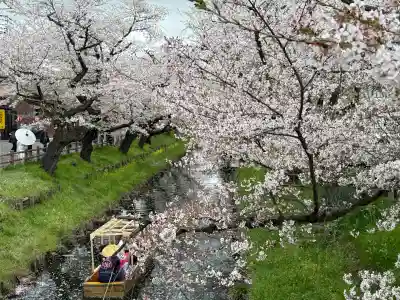 川越氷川神社の{uncategorized: "未分類", other: "その他", undefined: "問題あり", building: "その他建物", grave: "お墓", sacred_gate: "鳥居", guardian: "狛犬", statue: "像", buddha: "仏像", history: "歴史", nature: "自然", garden: "庭園", animal: "動物", pagoda: "塔", temizu: "手水舎", mountain_gate: "山門・神門", sanctuary: "本殿・本堂", subordinate: "末社・摂社", art: "芸術", scenery: "景色", jizo: "地蔵", ema: "絵馬", goshuin: "御朱印", omikuji: "おみくじ", items: "授与品その他", amulet: "お守り", goshuincho: "御朱印帳", eats: "食事", festival: "お祭り", votive_dance: "神楽", shichigosan: "七五三参", wedding: "結婚式", experience: "体験その他", initially: "初詣", around: "周辺", anti_infection: "感染症対策"}