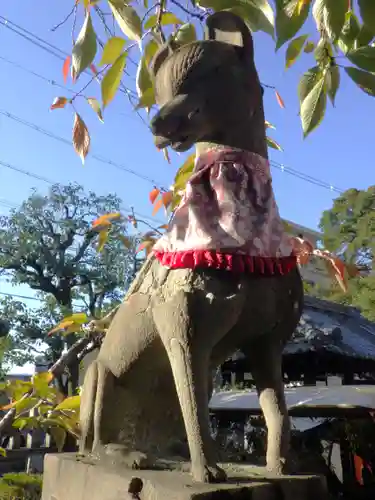 満足稲荷神社の狛犬