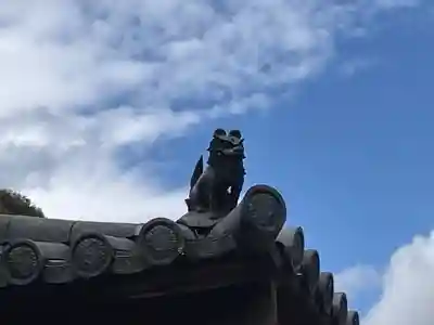 浄瑠璃寺(京都府)