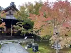 勝林寺の建物その他