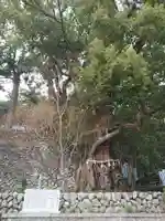 長島神社の自然