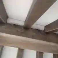 七重浜海津見神社(北海道)