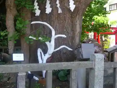 海南神社の自然