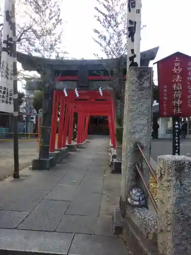 妙法稲荷神社(東京都)