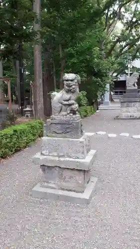 旭川神社の狛犬