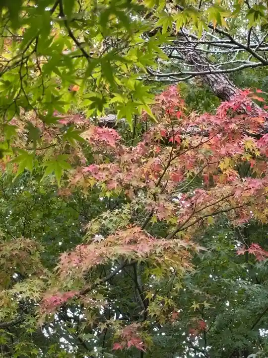 縣居神社(静岡県)