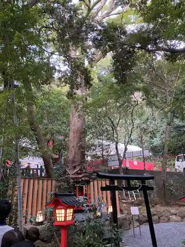 來宮神社(静岡県)