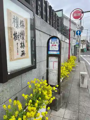 成田山　薬師堂（旧本堂）の{uncategorized: "未分類", other: "その他", undefined: "問題あり", building: "その他建物", grave: "お墓", sacred_gate: "鳥居", guardian: "狛犬", statue: "像", buddha: "仏像", history: "歴史", nature: "自然", garden: "庭園", animal: "動物", pagoda: "塔", temizu: "手水舎", mountain_gate: "山門・神門", sanctuary: "本殿・本堂", subordinate: "末社・摂社", art: "芸術", scenery: "景色", jizo: "地蔵", ema: "絵馬", goshuin: "御朱印", omikuji: "おみくじ", items: "授与品その他", amulet: "お守り", goshuincho: "御朱印帳", eats: "食事", festival: "お祭り", votive_dance: "神楽", shichigosan: "七五三参", wedding: "結婚式", experience: "体験その他", initially: "初詣", around: "周辺", anti_infection: "感染症対策"}