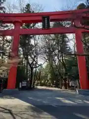 冠稲荷神社の鳥居