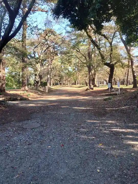 埼玉縣護國神社の自然