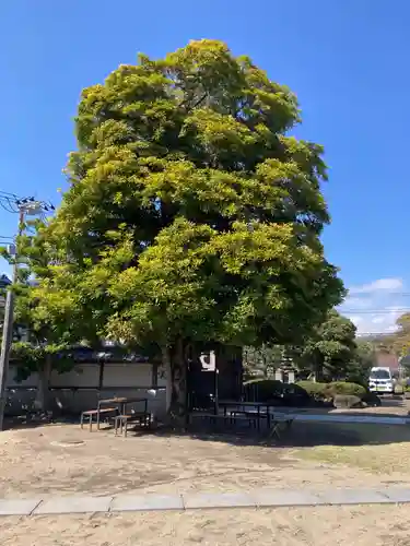 薬王寺(神奈川県)
