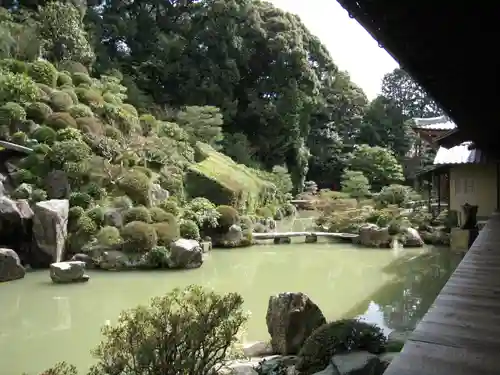 根来寺 智積院の庭園