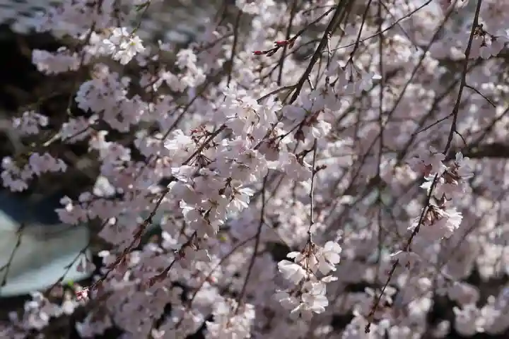水無瀬神宮(大阪府)