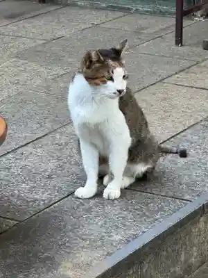 王子神社(徳島県)