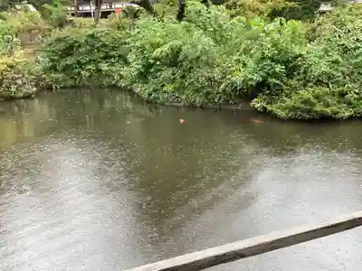 時宗総本山 遊行寺（正式：清浄光寺）(神奈川県)
