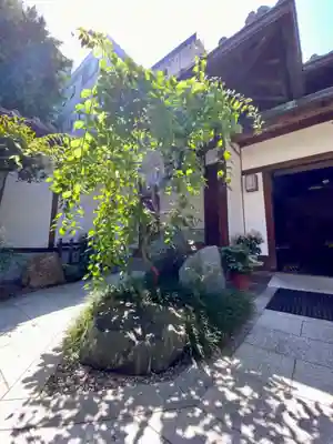 龍雲院(京都府)