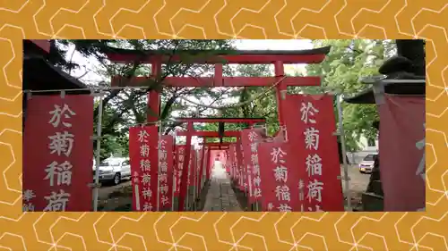 於菊稲荷神社(群馬県)