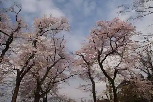 神炊館神社 ⁂奥州須賀川総鎮守⁂の自然