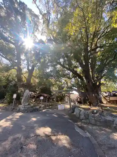 藤白神社(和歌山県)