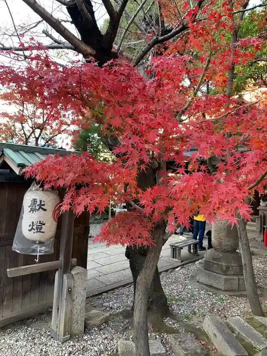 洲嵜神社の自然