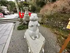 出雲大神宮の狛犬