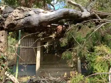市井神社の本殿・本堂