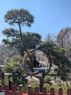 清水観音堂(東京都)